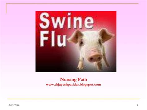 Swine Flu Ppt