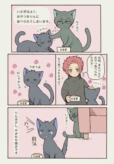 Seくん飼い主＋rnisにゃん Coto🐈‍⬛🌸🌱 さんのマンガ ツイコミ仮