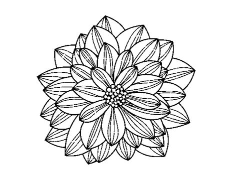 Dibujo De Flor De Dalia Para Colorear Dibujos Net