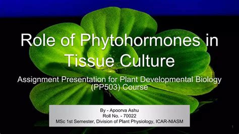 Role Of Phytohormones In Tissue Culture Ppt