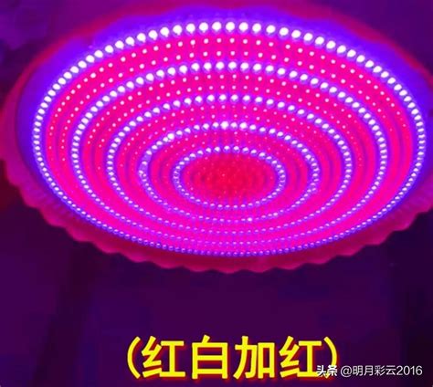 I can finally see the fresh light - iNEWS