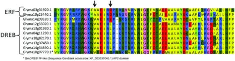 Amino-acid sequence alignment of the AP2 domains. Regions of amino-acid ... 