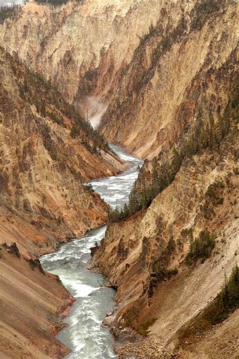 Jaru Obywatela Normy Rzeka Yellowstone Zdj Cie Stock Obraz Z O Onej Z