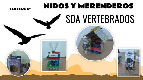 Nidos y Merenderos 3º de Primaria ceiplashuertas