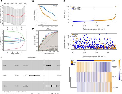 Frontiers Integrated Analysis Revealing A Novel Stemness Metabolism