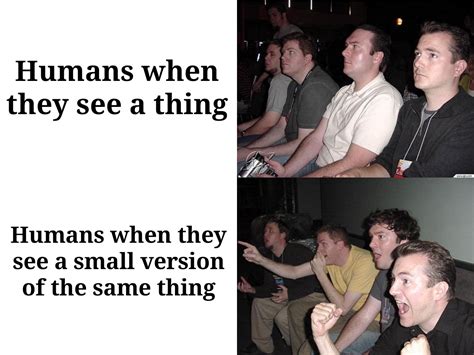 Best U Fuck Nature Images On Pholder Apparently It Triggers Their Parental Instinct