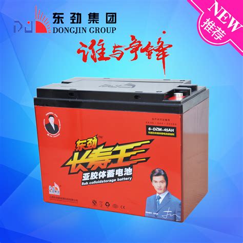 6 Dzm 45 12V45AH Dongjin Long Life Electric Vehicle Battery E Bike