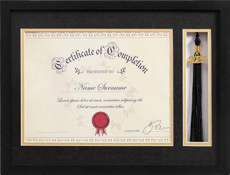 Eletecpro 12x16 Diploma Frame With Tassel Holder For 85x11 Document Or Certificate