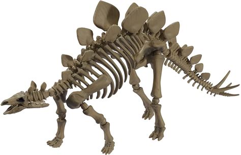 Pose Skeleton Dinosaur Series 103 Stegosaurus Discovery Japan Mall