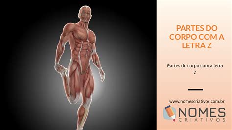 Partes Do Corpo Com A Letra C - Partes do corpo com a letra L - Nomes Criativos