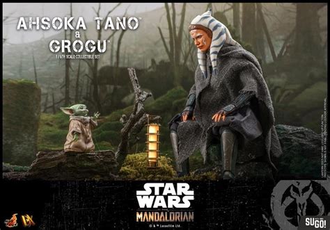 Hot Toys Star Wars The Mandalorian Ahsoka Tano Grogu Scale Figure DX Sugo Toys