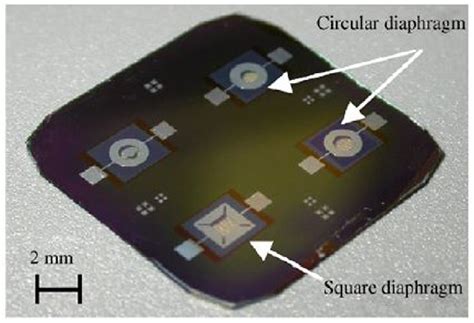 An image of the fabricated piezoelectric microphone [64] . | Download ...