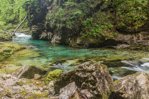 Vintgar Gorge Near Bled, Sloven Stock Image - Image of path, water ...