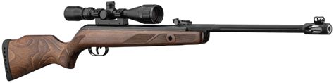 Carabine GAMO HUNTER 440 AS Combo Cal 4 5mm Armes De Loisirs Sur