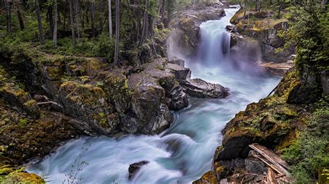 A Different Side of Mount Rainier National Park - Pursuits with Enterprise | Enterprise Rent-A-Car