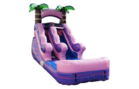 Pink Sparkle Inflatable Water Slide - Commercial-Grade, Wholesale Supp