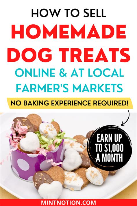 How To Start A Dog Treat Business At Home Easy Dog Treat Recipes