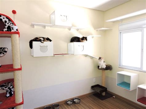 Quarto Dos Meus Gatos Nichos E Prateleiras Para Gatos Gatil Hauser