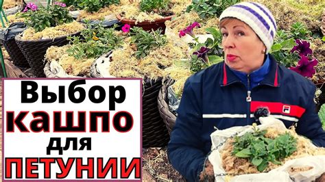Какие КАШПО выбрать для ПЕТУНИИ? зачем в кашпо пакет? - YouTube