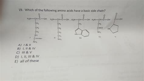 Solved Which Of The Following Amino Acids Have A Basic Side Chegg