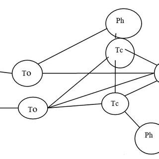 DDT generalized structure. | Download Scientific Diagram