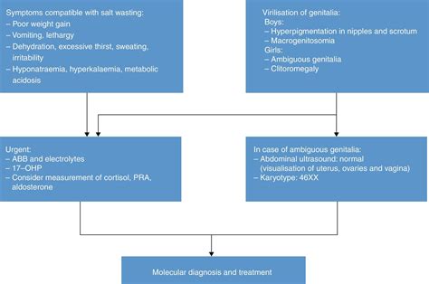 Congenital Adrenal Hyperplasia Clitoromegaly