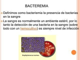 Bacteremia ENEO UNAM PPT