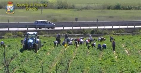 Brindisi Denunciati 152 Falsi Braccianti Agricoli Truffa Per Un