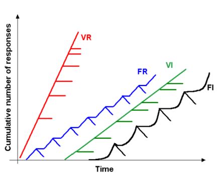 Schedules of Reinforcement in Psychology | Continuous & Partial - Video & Lesson Transcript ...