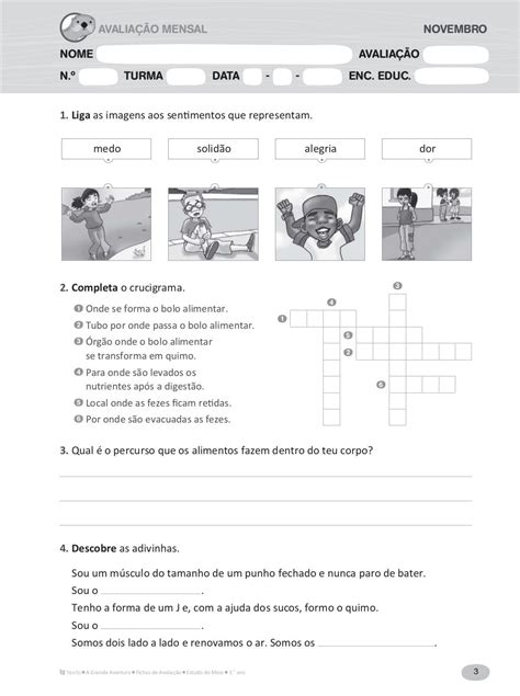 Fichas De Avaliação Estudo Do Meio3º Ano