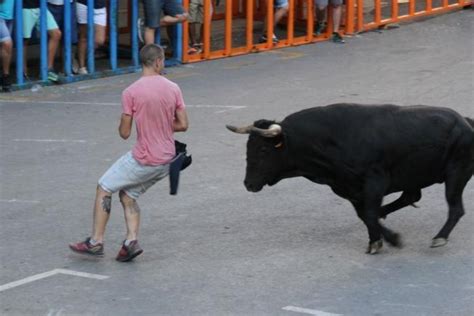 Ha mort un home de Xirivella als bous al carrer de la Vall d Uixó