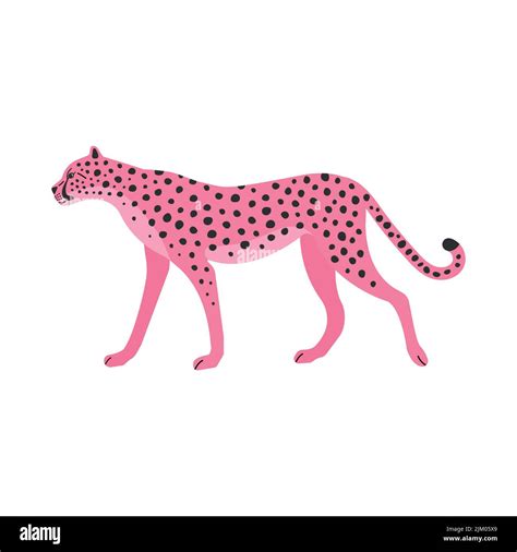 Vector Flat Hand Drawn Pink Cheetah Isolated On White Background Stock