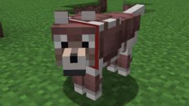 Armadillos In Minecraft Beta Release Apex Hosting