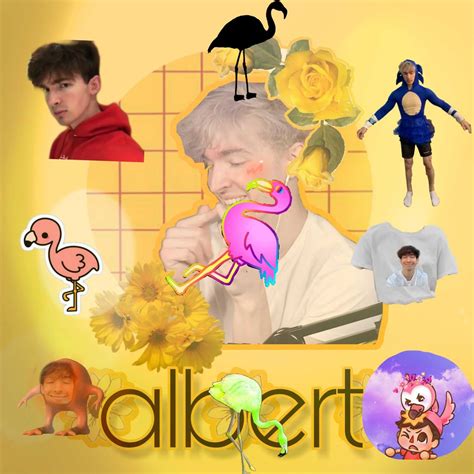 [20 ] Stunning Flamingo Albert Wallpapers Wallpaper Box