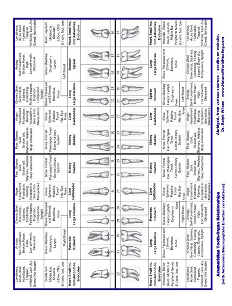 Pin by Hope Smith on Dental assistant | Dental assistant study, Dental ...