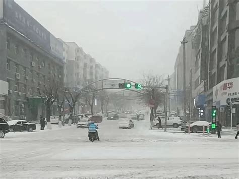 最低 4℃ 雨夹雪 阵风9级 霜冻！烟台新一轮断崖式降温来袭！ 气温 未来 北风