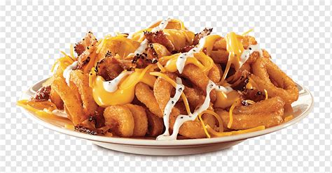 Gyro Cheese Fries French Fries Arby S Restaurant Fried Potatoes Food