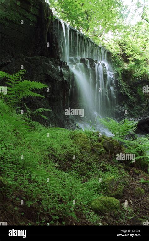 Finlaystone Country Park Scotland Stock Photo Alamy