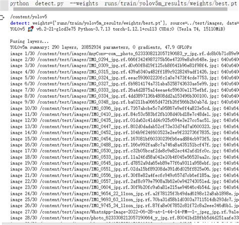 Fail To Run Torchscript After Exporting Issue Ultralytics