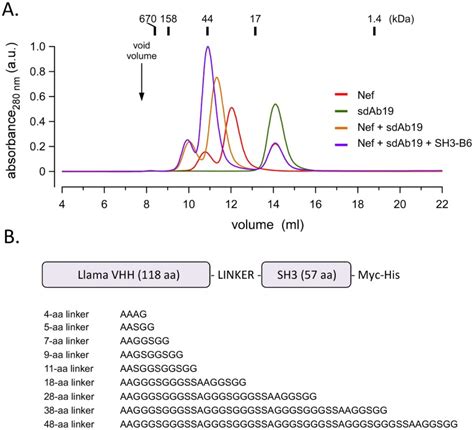 A Size Exclusion Chromatography Analysis Confirming The Expected Download Scientific Diagram