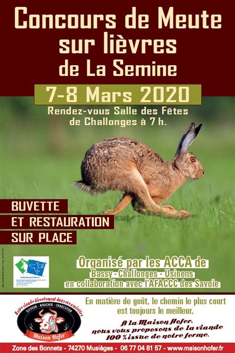 Concours De Meute Sur Lievres De La Semine Fédération Des Chasseurs