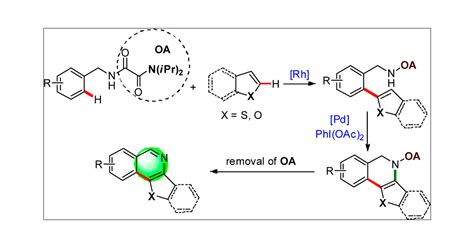 Rhodium III Catalyzed Oxidative CH CH Cross Coupling Of Heteroarenes