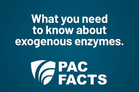 PAC Facts Breaking Down Exogenous Enzymes For Dairy Cows Papillon