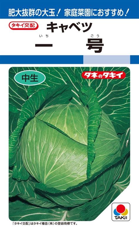 タキイ種苗 キャベツ種子 一号 Aca046 【取り寄せ注文】 葉菜類キャベツ 小林種苗株式会社