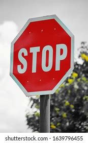 Stop Sign Graffiti Stock Photo 1112937380 | Shutterstock