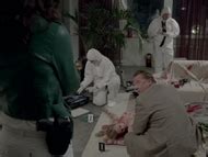 Dijana Grilc Nude Pics Page 1