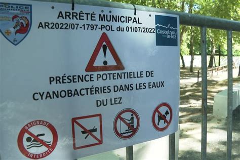 Sécheresse et prolifération des cyanobactéries quels risques pour la