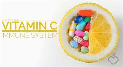 Whats The Best Vitamin C Supplement For The Immune System Positive