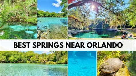 Best springs near Orlando + Disney World 🌴 swimming, kayaking, camping ...