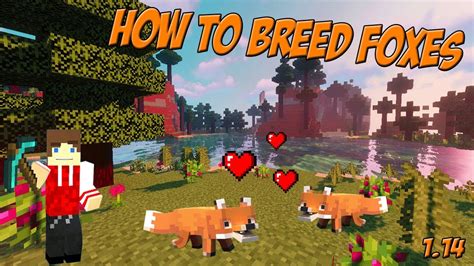 How To Breed Foxes In Minecraft Youtube